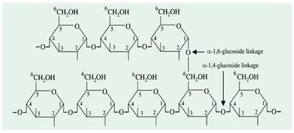 BIOCHEMISTRY W/1 TERM ACHEIVE ACCESS, Chapter 20, Problem 23P , additional homework tip  5