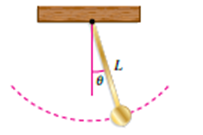 Chapter 16, Problem 9PS, Pendulum Consider a pendulum of length L that swings by the force of gravity only. For small values, , example  1