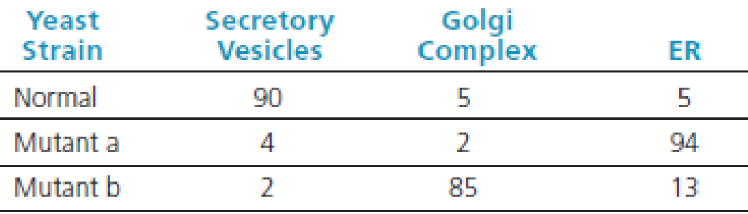 Chapter 4, Problem 12TYU, INTERPRET data An investigator has isolated two mutant strains of yeast that fail to secrete a short 