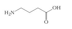 Chapter 2, Problem 2.69PAE, 2.59 The accompanying figure shows the structure of gamma-aminoburanoic acid, or GABA. This molecule 