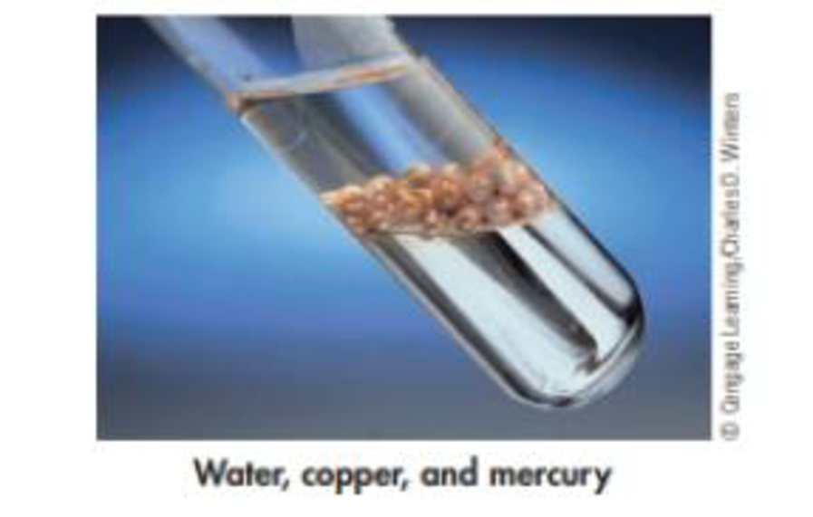 Chapter 1, Problem 38GQ, The following photo shows copper balls, immersed in water, floating on top of mercury. What are the 