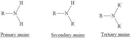 Chemistry & Chemical Reactivity, Chapter 23, Problem 40PS , additional homework tip 1