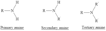 Pac Mindlink Owlv2 (24 Months) Chemistry & Chemical Reactivity 9e, Chapter 23, Problem 42PS 