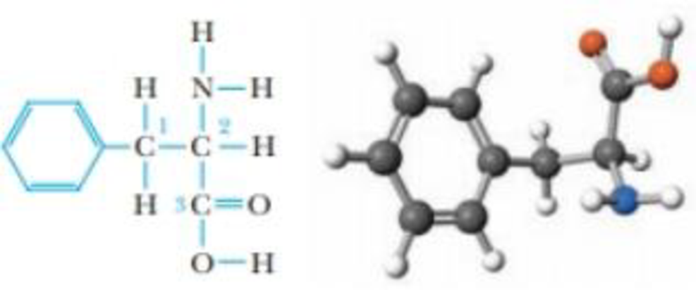 The Structure Of Phenylalanine One Of The Amino Acids That Make Up Proteins Is Drawn Below Without Lone Pairs Of Electrons The Carbon Atoms Are Numbered For The Purpose Of This