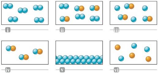 Match each description below with the following microscopic pictures ...