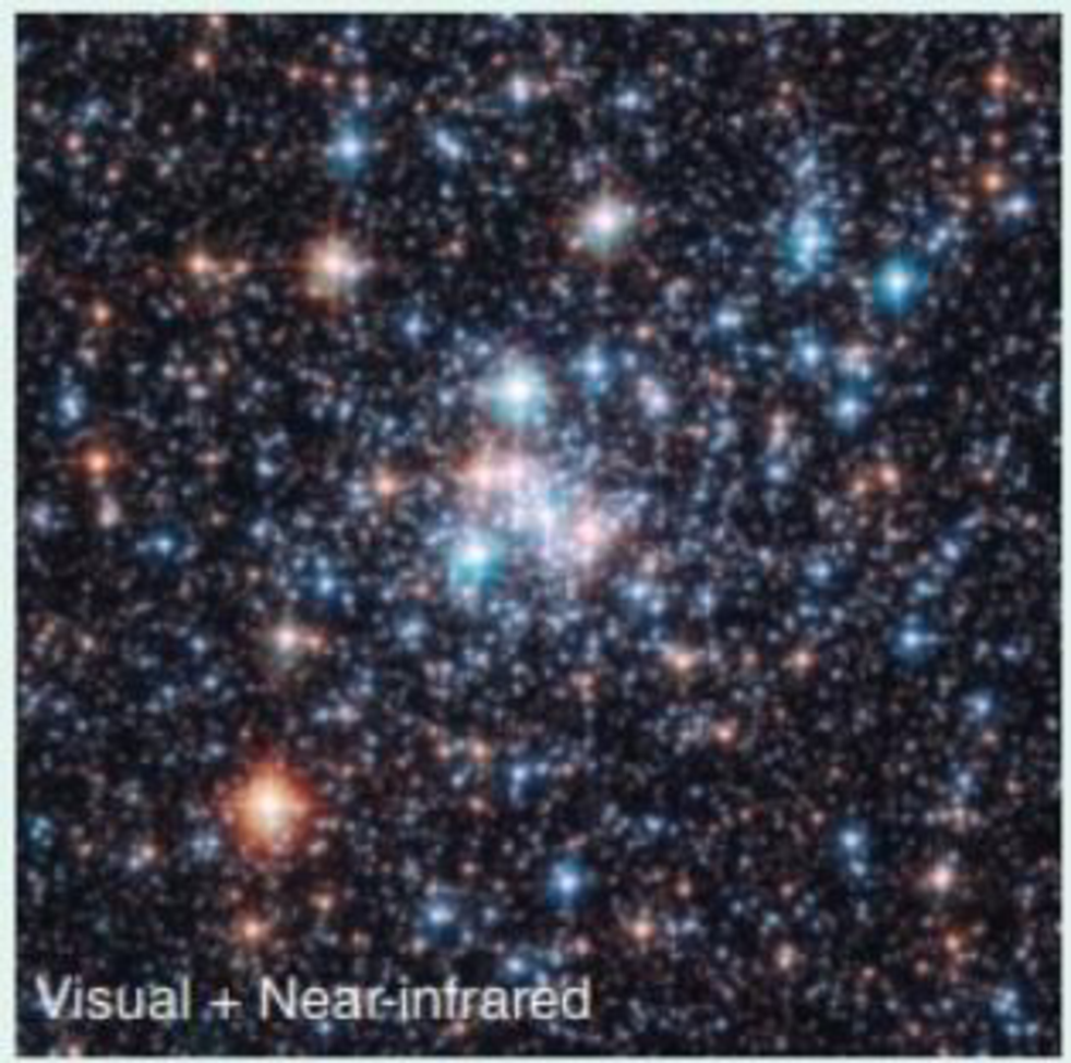 Chapter 26, Problem 2LTL, The star cluster shown in this image contains a few red giants as well as main-sequence stars 