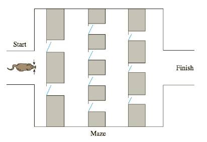 Chapter 6.3, Problem 7E, PSYCHOLOGY EXPERIMENTS A psychologist has constructed the following maze for use in an experiment. 