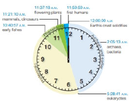 Chapter 16, Problem 3CT, If you think of geologic time spans as minutes, lifes history might be plotted on a clock such as 