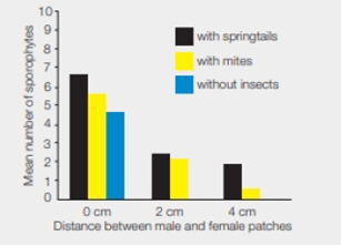 Chapter 22, Problem 1DAA, Insect-Assisted Fertilization in Moss Moss sperm can swim, but plant ecologist Nils Cronberg 