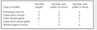 Chapter 29, Problem 1DAA, Whos the Pollinator? Massonia depressa is a low-growing succulent plant native to the desert of , example  2