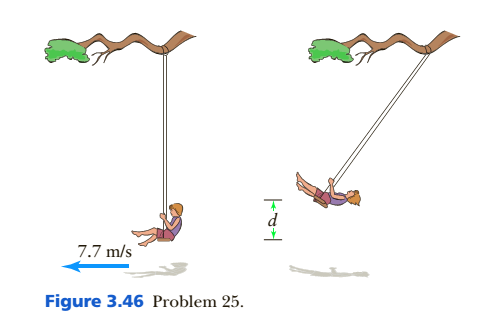 Chapter 3, Problem 25P, . A child on a swing has a speed of 7.7 m/s at the low point of the arc (Figure 3.46). How high will 