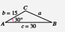 Precalculus with Limits, Chapter 6.2, Problem 9E , additional homework tip  1