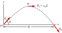 Chapter 11, Problem 11P, Review. A projectile of mass m is launched with an initial velocity vi making an angle  with the 