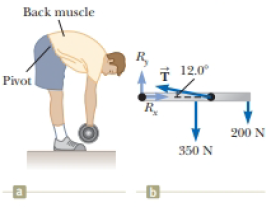 Chapter 12, Problem 34AP, Assume a person bends forward to lift a load with his back as shown in Figure P12.34a. The spine 