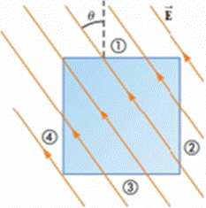 Chapter 23, Problem 23P, Figure P23.23 represents the top view of a cubic gaussian surface in a uniform electric field E 