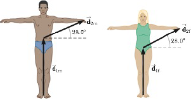 Chapter 3, Problem 3.40P, Figure P3.28 illustrates typical proportions of male (m) and female (f) anatomies. The displacements 