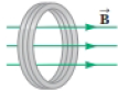 Chapter 31, Problem 31.70AP, Figure P30.41 shows a compact, circular coil with 220 turns and radius 12.0 cm immersed in a uniform 