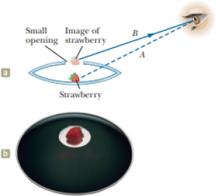 Chapter 35, Problem 58CP, A floating strawberry illusion is achieved with two parabolic mirrors, each having a focal length 