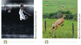 Chapter 4, Problem 4.24P, A basketball star covers 2.80 m horizontally in a jump to dunk the ball (Fig. P4.12a). His motion 