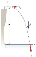Chapter 4, Problem 4.29P, A student stands at the edge of a cliff and throws a stone horizontally over the edge with a speed 