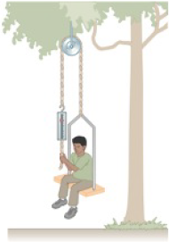 Chapter 5, Problem 41AP, An inventive child named Nick wants to reach an apple in a tree without climbing the tree. Sitting 