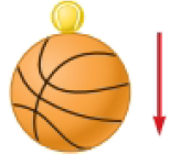 Chapter 9, Problem 17P, A tennis ball of mass 57.0 g is held just above a basketball of mass 500 g as shown in Figure P9.17. 