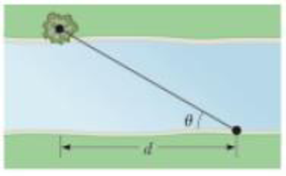 Chapter 1, Problem 6P, A surveyor measures the distance across a straight river by the following method (Fig. P1.6). 