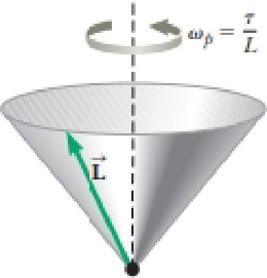 Chapter 11, Problem 43P, The angular momentum vector of a precessing gyroscope sweeps out a cone as shown in Figure P11.31. 