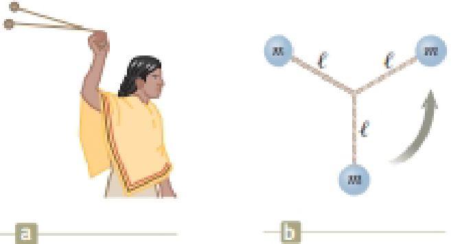 Chapter 11, Problem 41AP, Native people throughout North and South America used a bola to hunt for birds and animals. A bola 