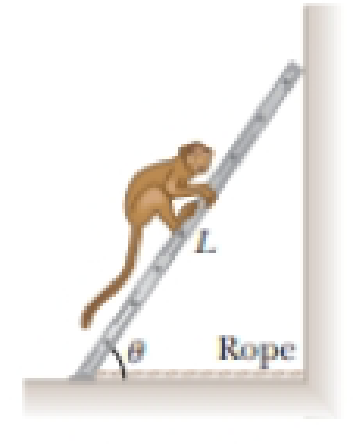 Chapter 12, Problem 14P, A 10.0-kg monkey climbs a uniform ladder with weight 1.20  102 N and length L = 3.00 m as shown in 