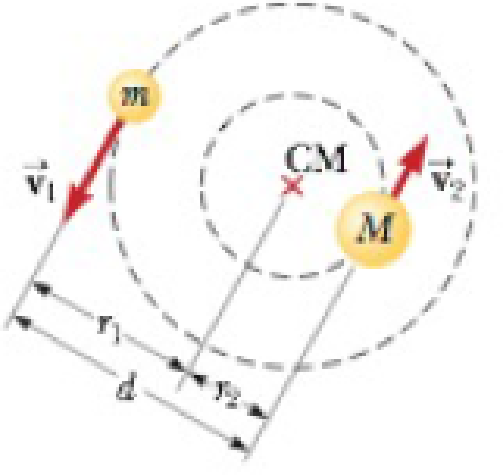 Chapter 13, Problem 44AP, Two stars of masses M and m, separated by a distance d, revolve in circular orbits about their 