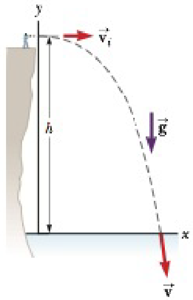Chapter 4, Problem 29P, A student stands at the edge of a cliff and throws a stone horizontally over the edge with a speed 