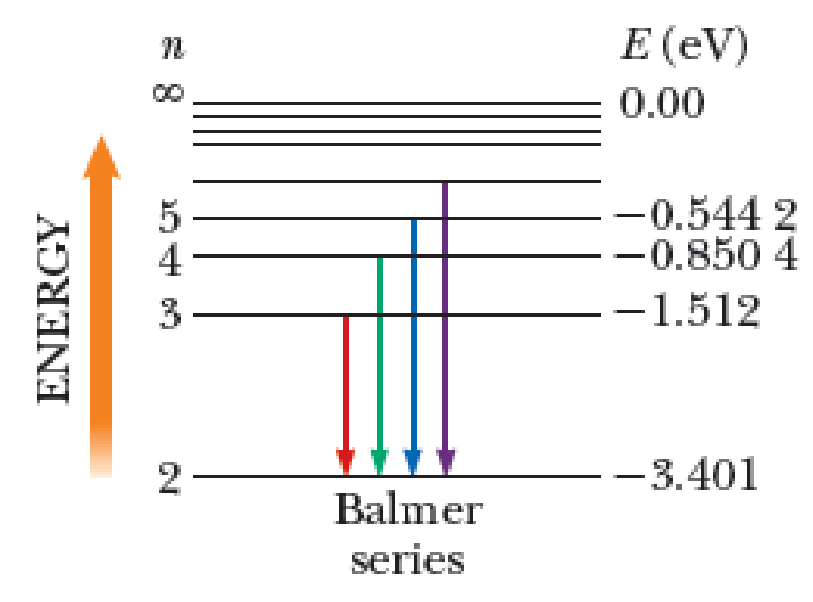 OneClass: The Balmer series for the hydrogen atom corresponds to ...