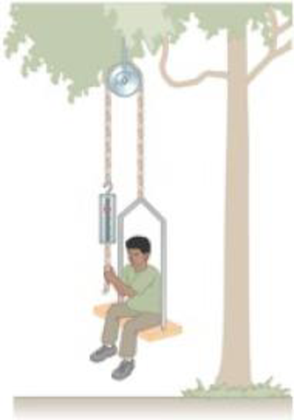 Chapter 5, Problem 81AP, An inventive child named Nick wants to reach an apple in a tree without climbing the tree. Sitting 