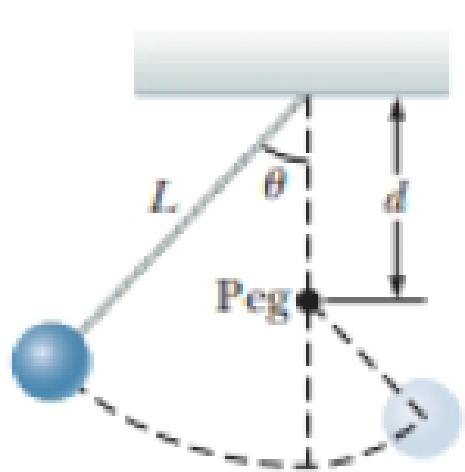 Chapter 8, Problem 40AP, A pendulum, comprising a light string of length L and a small sphere, swings in the vertical plane. 