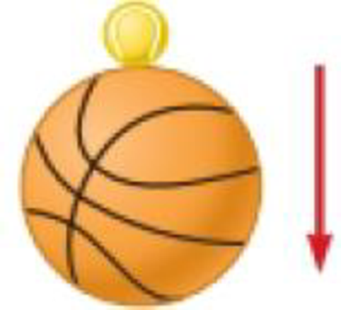 Chapter 9, Problem 29P, A tennis ball of mass 57.0 g is held just above a basketball of mass 500 g as shown in Figure P9.17. 