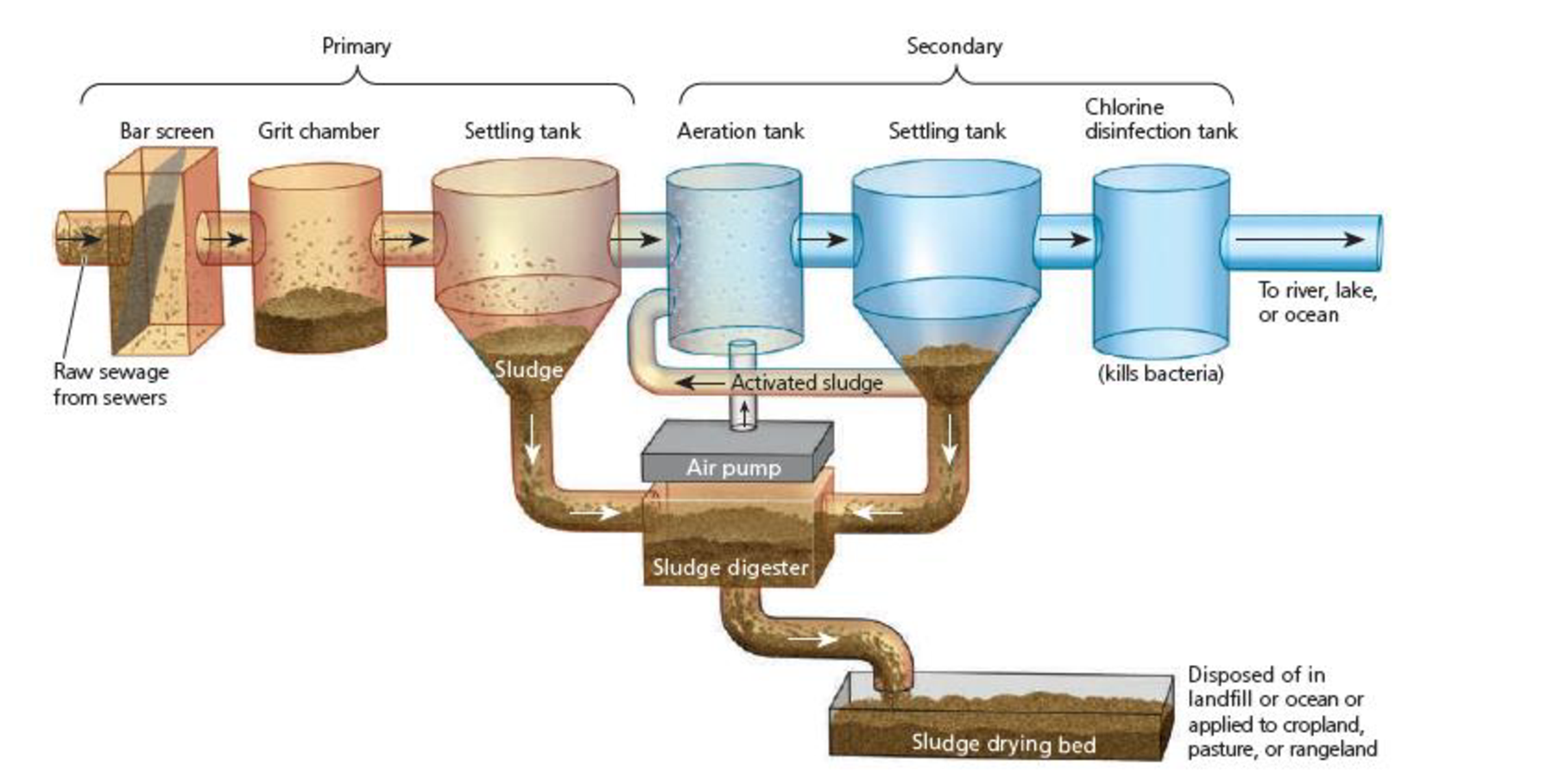 how-does-plastic-waste-affect-humans-re-gen-waste-management