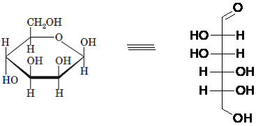 Introduction To General, Organic, And Biochemistry, Chapter 19, Problem 21P , additional homework tip  11