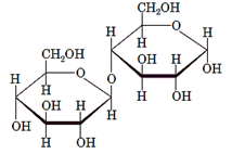 Introduction to General, Organic and Biochemistry, Chapter 19, Problem 37P 