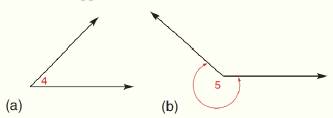 Chapter 1.CR, Problem 19CR, On the basis of appearance, what type of angle is shown? 