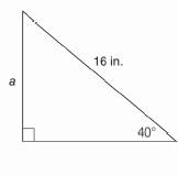 Chapter 11.CR, Problem 1CR, In Review Exercises 1 to 4, state the ratio needed, and use it to find the measure of the indicated 