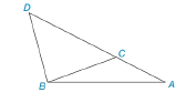 Chapter 3.1, Problem 5E, Consider ABC and ABD in the figure shown. By the reason Identity, AA and ABAB. a. If BCBC, can you 