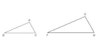 Chapter 5.2, Problem 5E, In Exercises 5 and 6, refer to the drawing. a Given that AX,BT, and CN, write a statement claiming 