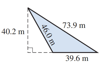 Chapter 12, Problem 13R, Find the area and the perimeter of each triangle: 