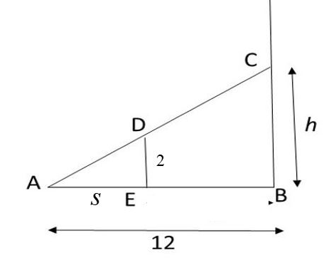 Single Variable Calculus: Concepts and Contexts, Enhanced Edition, Chapter 4.1, Problem 16E 