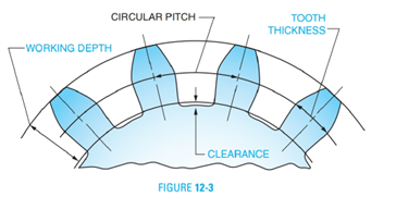 Chapter 12, Problem 10A, A section of a spur gear is shown in Figure 123. Given the circular pitches for various gear sizes, , example  1