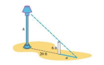 Advanced Placement Calculus Graphical Numerical Algebraic Sixth Edition High School Binding Copyright 2020, Chapter 4, Problem 67RE 