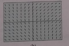 AP CALCULUS TEST PREP-WORKBOOK, Chapter 6, Problem 39RE , additional homework tip  1