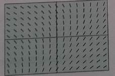 CALCULUS:GRAPHICAL,...,AP ED.-W/ACCESS, Chapter 6, Problem 40RE , additional homework tip  1