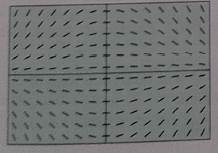 AP CALCULUS TEST PREP-WORKBOOK, Chapter 6, Problem 42RE , additional homework tip  1